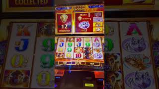 Slot Wins at Gun Lake Casino Michigan 🦬🎰 [upl. by Danice]