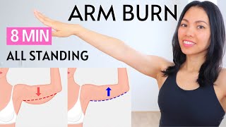 8 MIN ARM BURN effective exercises to lose armpit fat beginner friendly standing workout DAY 17 [upl. by Aleyam]