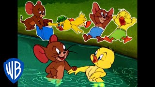 Tom amp Jerry  Best of Jerry and Little Quacker  Classic Cartoon Compilation  WB Kids [upl. by Lledo]