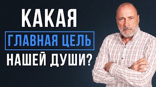 Главное предназначение и ЦЕЛЬ для нашей ДУШИ [upl. by Jahn]