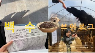 일상VLOG백수의 일상 브이로그ㅣ 드디어 끝낸 실업급여 신청ㅣ나는 앞으로 뭘 해먹고 살지 이제 뭘 배우지 뭘해야하지 ㅣ 내일배움카드 신청 [upl. by Aihsekyw]