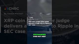 Ripple SEC Lawsuit Update SEC Appeals Court Ruling crypto sec ripple [upl. by Creamer]