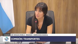 COMISIÓN COMPLETA TRANSPORTES  20 de noviembre de 2024  TEMAS VARIOS  Diputados Argentina [upl. by Ateerys]