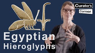 Learn how to read Ancient Egyptian Hieroglyphs with Ilona Regulski  Curators Corner S7 E11 [upl. by Enidaj]