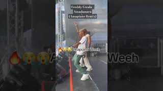 Freddy Gwala  Amadamara Amapiano Remix snippet shortvideo amapiano trending tiktok ytshorts [upl. by Alliuqet]