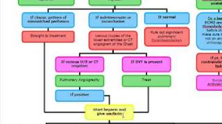 Pulmonary Embolus Algorithm [upl. by Avonasac]