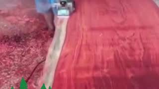 Sawmill cutting a African Padauk [upl. by Inatirb564]