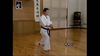 SoKyokushin Kata  Saiha æœ€ç ´ [upl. by Emily]