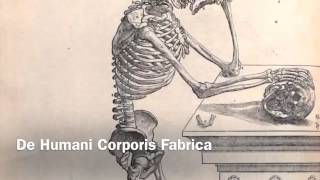 Andreas Vesalius [upl. by Pheni]