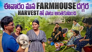 Life at Farmhouse  Farmhouse దగ్గర ఫామిలీ amp ఫ్రెండ్స్ తో ఆటపాటలు వంటలతో కాలక్షేపం … Sridevi [upl. by Sakiv]