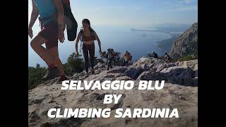 SELVAGGIO BLU by Climbing Sardinia [upl. by Annaes263]