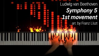 BeethovenLiszt  Symphony 5 1st Movement [upl. by Ahsiryt164]