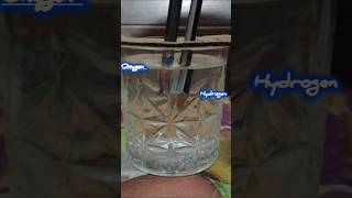 electrolysis process breakdown of h2 and o2science experiment electrolysis science experiment [upl. by Harad]