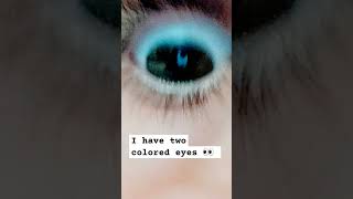 I have two colored eyes 👀 [upl. by Suiraj]