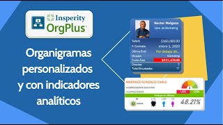 Organigramas manuales [upl. by Nanji]