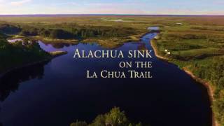 Alachua Sink as seen from a Drone  Drone over Gainesville [upl. by Alrak672]