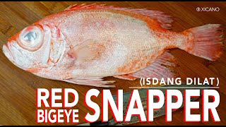 RED BIG EYE SNAPPER  HOW TO CLEAN FILLET amp COOK  FISH CABBAGE ROLL [upl. by Roche289]