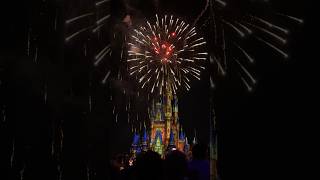 Silvester im Disneyland disneyland newyear shorts [upl. by Iden743]