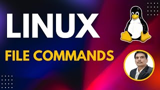 Part 1  UnixLinux for Testers  File Commands [upl. by Annahahs]