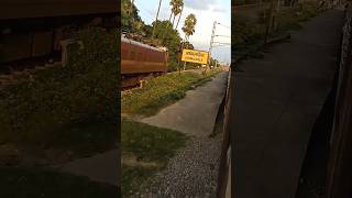 railway station platform Barhrailway viral trending reelsvideo shortvideo youtubeshorts [upl. by Dabbs]