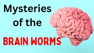 Brain TAPE WORMS Neurocysticercosis [upl. by Aryajay]