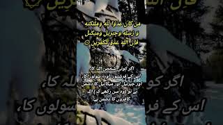 Surah Al Baqarah 298 surahbaqarahwithurdutranslation relaxing video [upl. by Barbee]