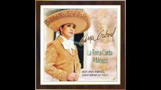 Megamix de Ana Gabriel especial de RANCHERAS By Polo [upl. by Enieledam]