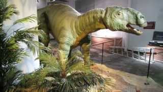 Interacting with our Tenontosaurus [upl. by Fitzpatrick]