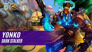 yonkō ANDROXUS PALADINS COMPETITIVE MASTER DARK STALKER [upl. by Kirshbaum]