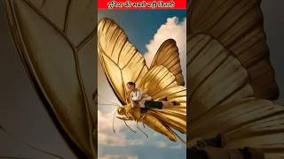 Giant Swallowtail  Worlds Largest Butterfly  Nature Guide shorts facts [upl. by Luis932]