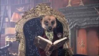 Meerkat book Ad  A Simples Life My Life amp Times by Aleksandr Orlov [upl. by Adnohsar525]