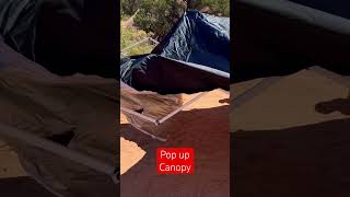 Our 10x10 canopy camping setup camping productreview [upl. by Cohlette338]