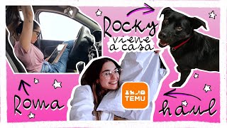 WEEKLY VLOG  Una settimana movimentata da Roma alladozione di Rocky  CarmenDinn [upl. by Lindemann]