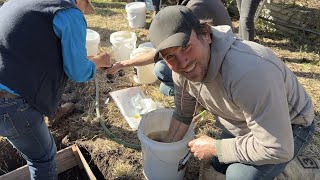 Biodynamics composting  Regenerative Farming a Farming Revolution in Australia [upl. by Cozza]