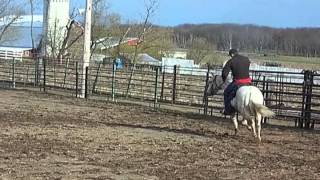 Zan Sunup Watcher 2010 Sunup Ranch gelding in training [upl. by Eelrebmyk]