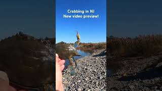 Crabbing at Matt’s Landing NJ  FULL VIDEO PREVIEW gopro crabbing njshore fishing newjersey nj [upl. by Hollerman]