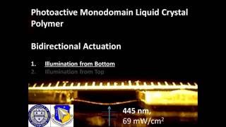 Photoactive Monodomain Liquid Crystal Polymer [upl. by Bithia]