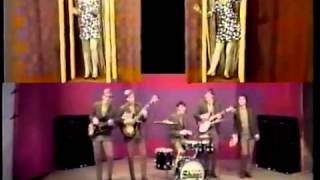 The Shags  Meet Me at Bergners TV Commercial  1960s [upl. by Anifur393]