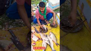 Village grash fish cutting गाँव की बाजार में बड़ी मछली arunblog fishcutting shortsfeed [upl. by Edualc357]