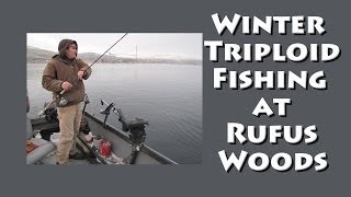 Winter Triploid Fishing at Rufus Woods [upl. by Hugibert]