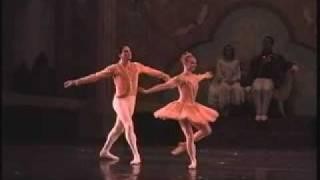 Nutcracker Grand Pas de Deux 04 [upl. by Leen]