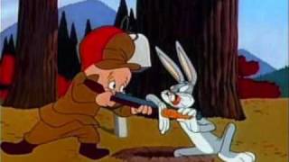 Wappin By Elmer Fudd [upl. by Palestine437]