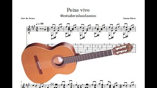 Peixe vivo no violão clássico [upl. by Ikkaj]