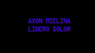 5 AXON MIELINA Libero Dolor  NEURONAS  HEMISFERIO DERECHO [upl. by Irami]