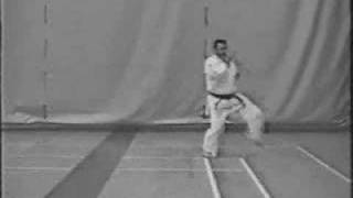 Oshawa Wadokai Karate  Naifunchi Shodan Kata [upl. by Ytsirk]