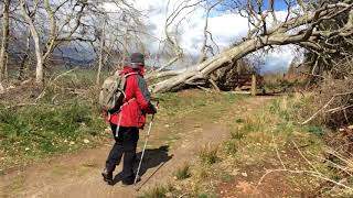 Walking the Cats Back Strathpeffer [upl. by Dahlia801]