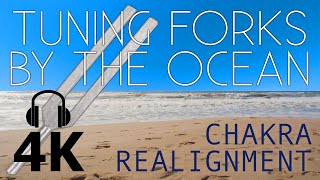 Tuning Forks By The Ocean  Five Minute Chakra Realignment  ASMR Binaural [upl. by Leunam]