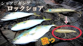 【ロックショア】サイズ落としてクリアカラーにしたら青物が即食いだった！！（ショアジギング） [upl. by Conard]