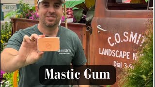 Mastic Gum [upl. by Tenn]