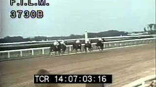 Secretariat stock footage  archival footage [upl. by Grieve]